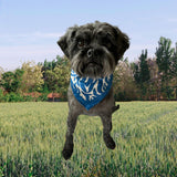 Mini Jane Zebra Blue & Cream Silk Scarf