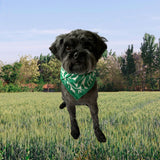 Mini Jane Zebra Jungle Green Silk Scarf